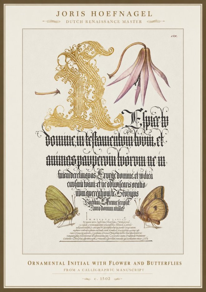 Joris Hoefnagel Ornamental Capital with Flower and Butterflies No5 - Plakát
