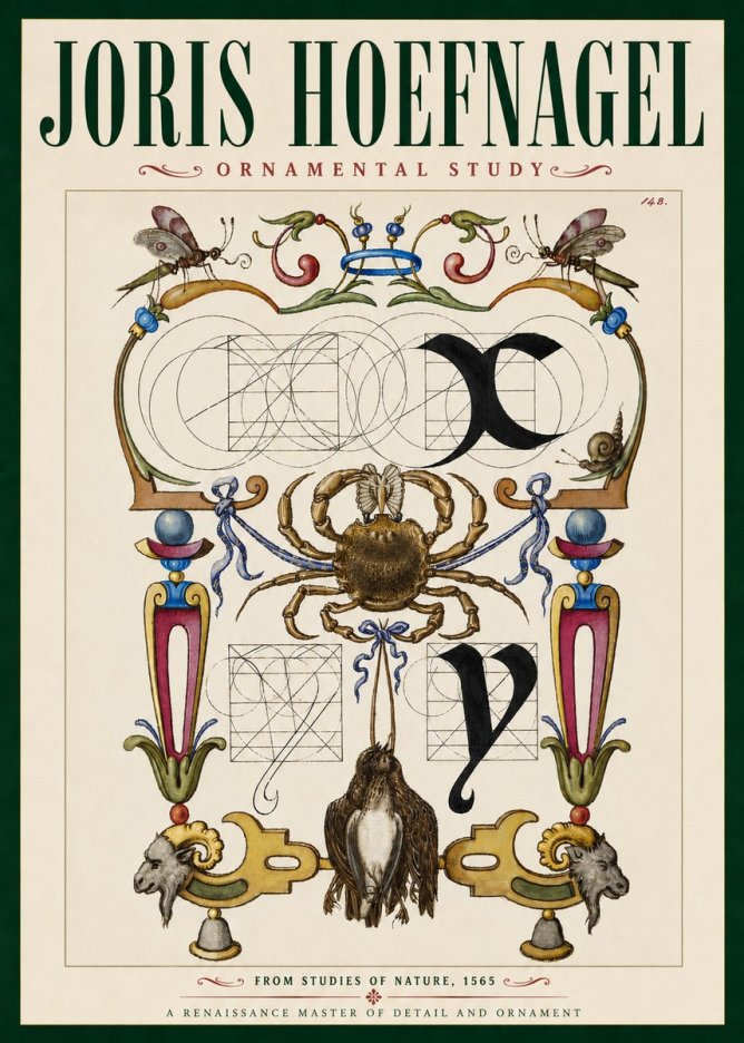 Joris Hoefnagel Ornamental Study II No4 - Plakát