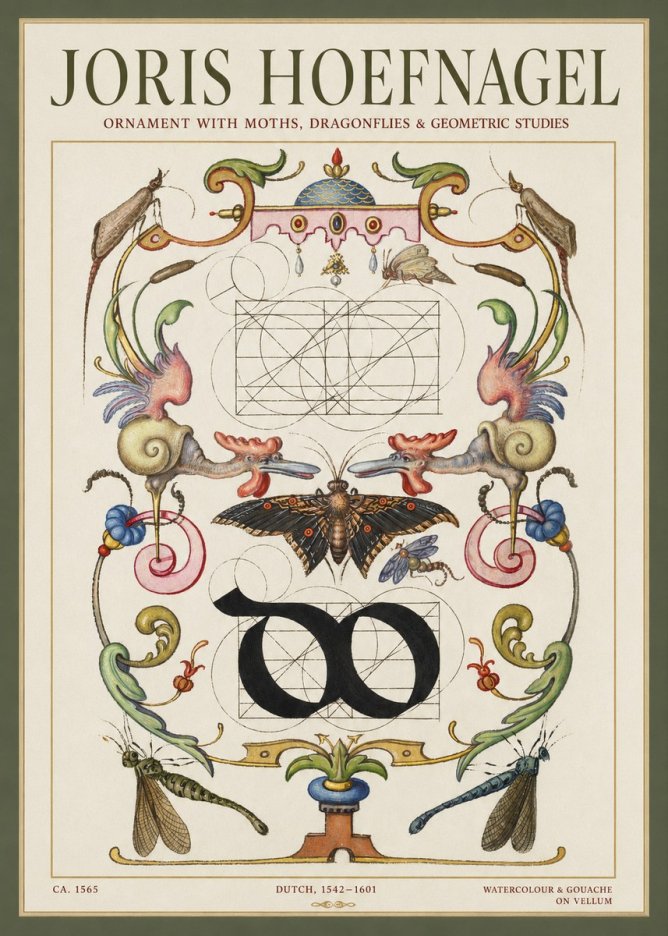 Joris Hoefnagel Ornament with Moths, Dragonflies & Geometric Studies No1 - Plakát