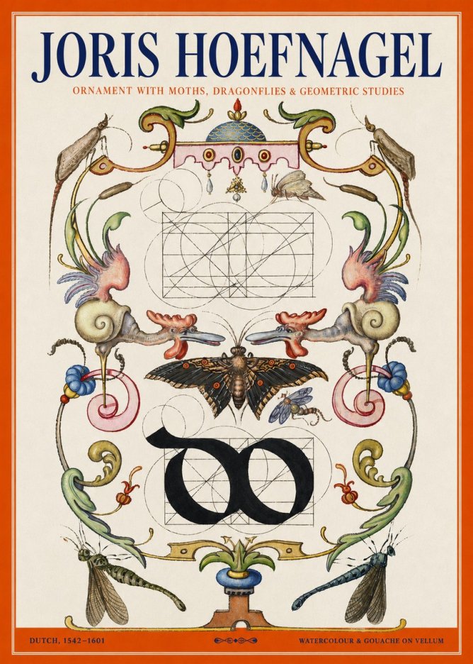 Joris Hoefnagel Ornament with Moths, Dragonflies & Geometric Studies No2 - Plakát