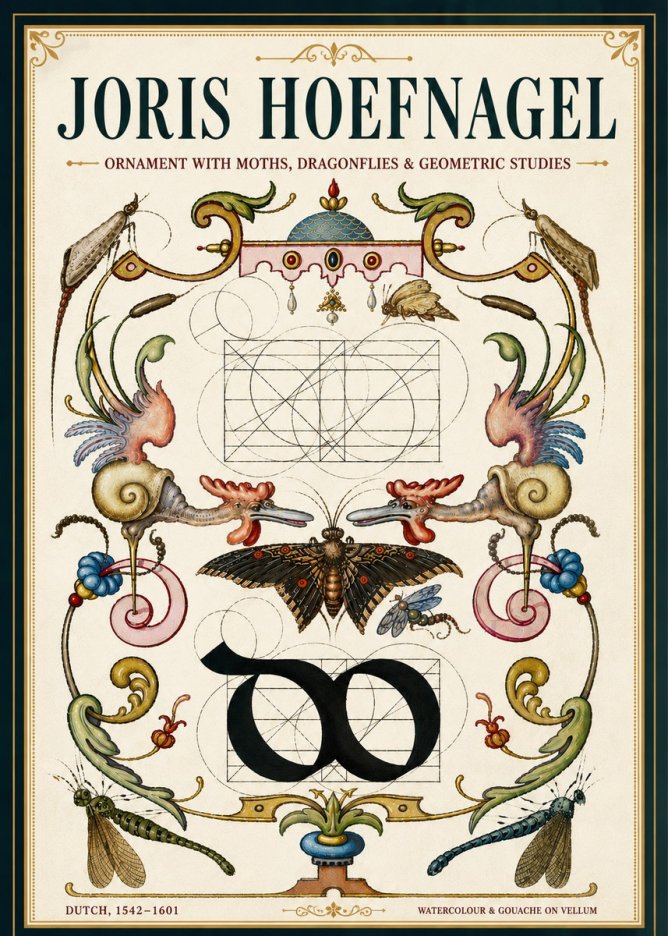 Joris Hoefnagel Ornament with Moths, Dragonflies & Geometric Studies No5 - Plakát