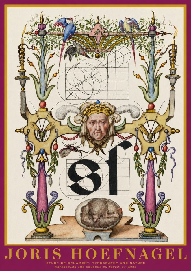 Joris Hoefnagel Mastery in Detail - Renaissance Ornament & Nature Studies No6 - Plakát