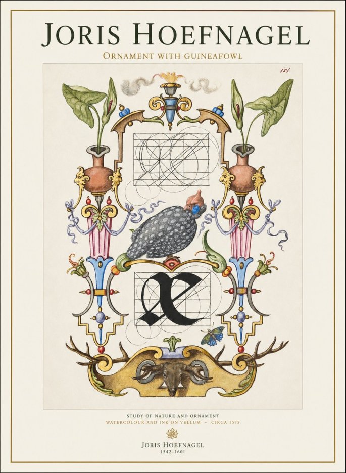 Joris Hoefnagel Ornament with Guineafowl No1 - Plakát