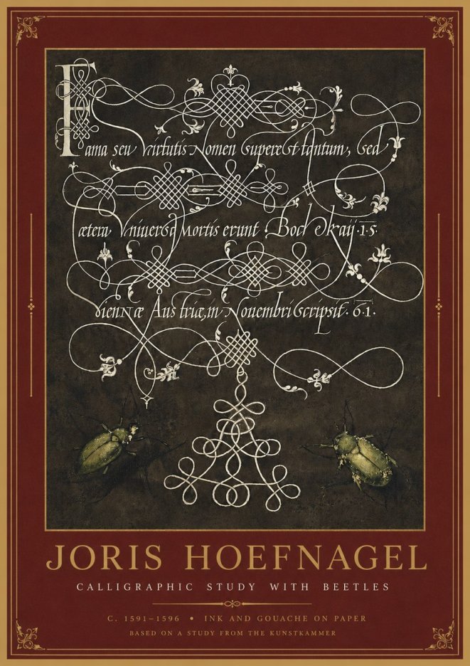 Joris Hoefnagel Calligraphic Study with Beetles No2 - Plakát