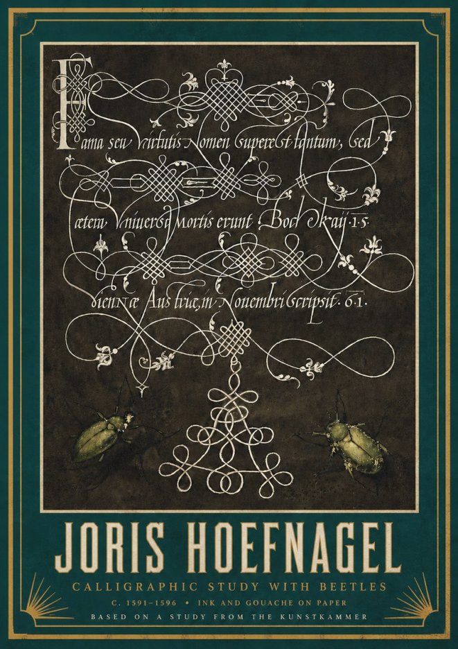 Joris Hoefnagel Calligraphic Study with Beetles No3 - Plakát