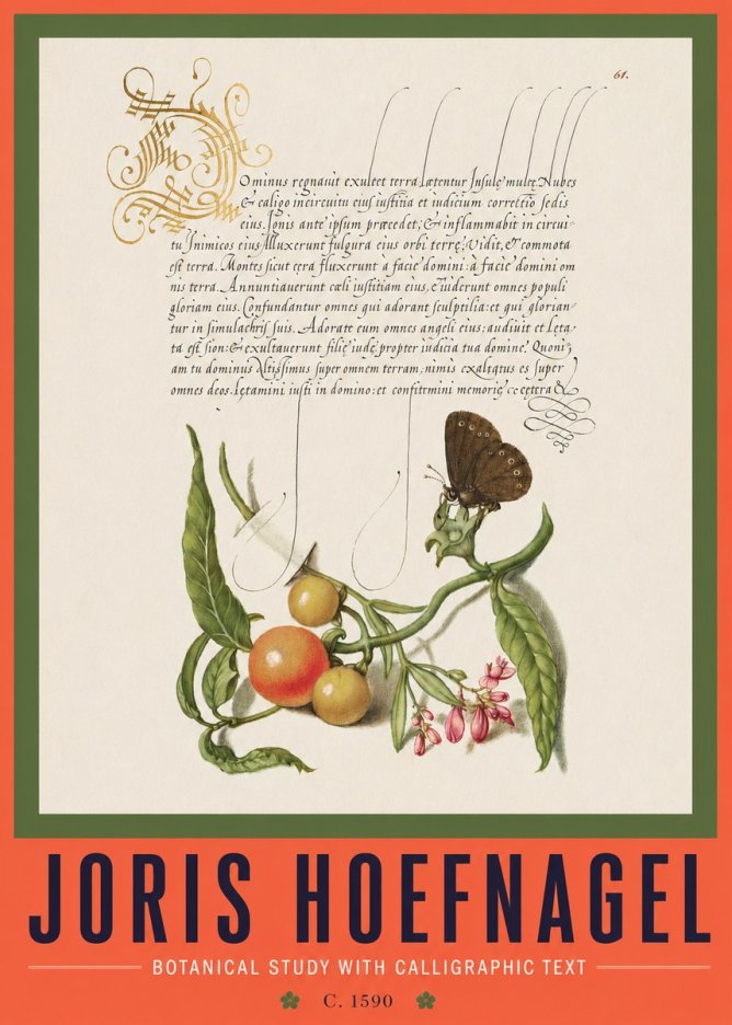Joris Hoefnagel Botanical Study with Calligraphic Text No2 - Plakát
