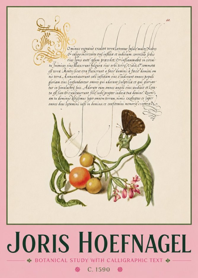 Joris Hoefnagel Botanical Study with Calligraphic Text No4 - Plakát