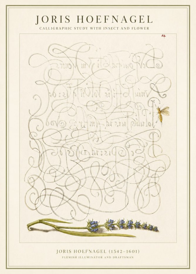 Joris Hoefnagel Calligraphic Study with Insect and Flower No1 - Plakát