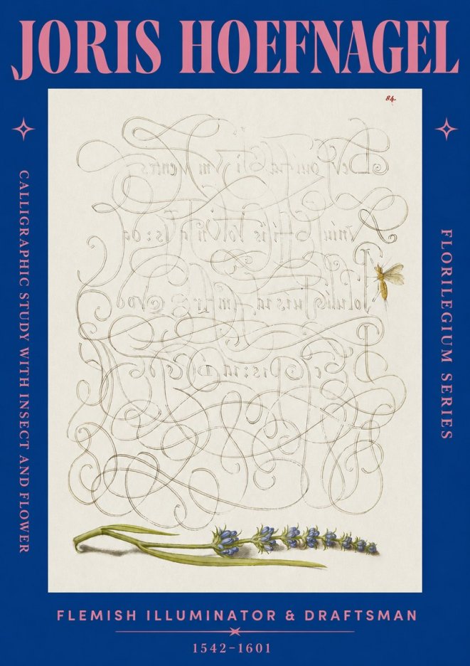 Joris Hoefnagel Calligraphic Study with Insect and Flower No2 - Plakát