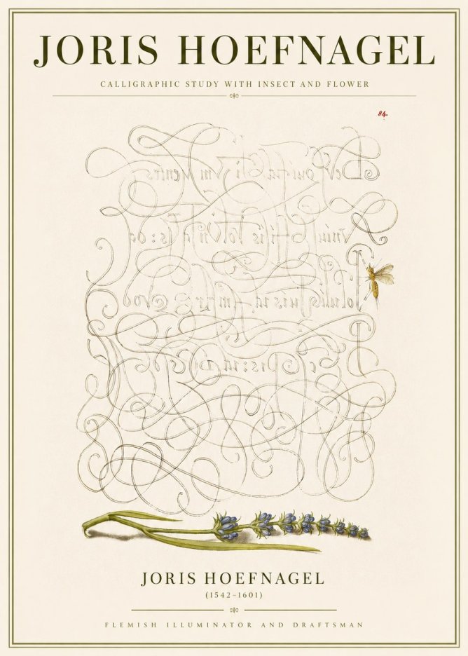 Joris Hoefnagel Calligraphic Study with Insect and Flower No3 - Plakát
