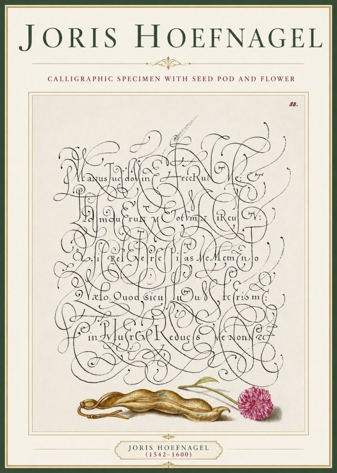 Joris Hoefnagel Calligraphic Specimen with Seed Pod and Flower No3 - Plakát
