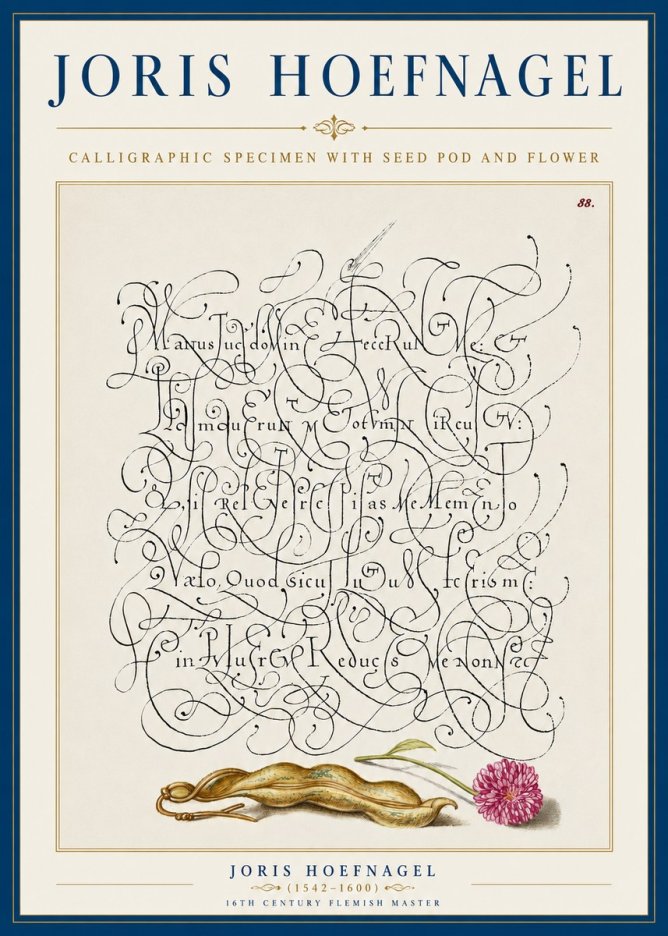 Joris Hoefnagel Calligraphic Specimen with Seed Pod and Flower No5 - Plakát