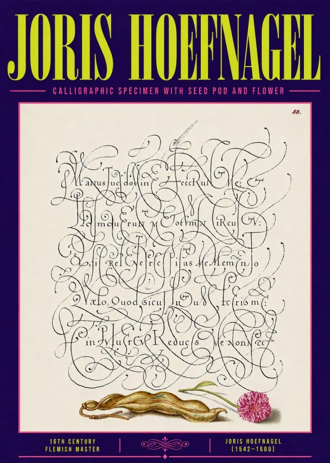 Joris Hoefnagel Calligraphic Specimen with Seed Pod and Flower No6 - Plakát