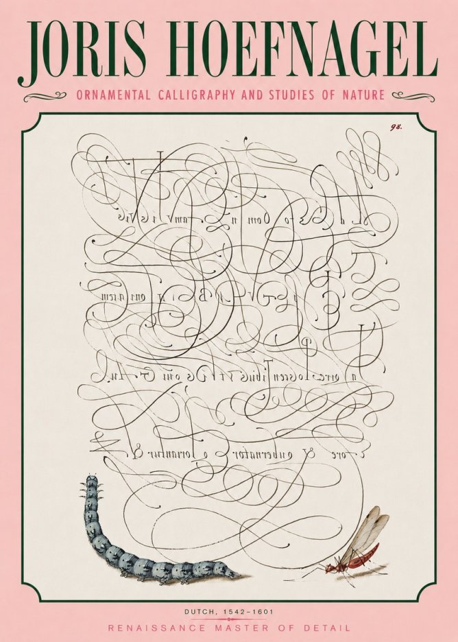 Joris Hoefnagel Ornamental Calligraphy and Studies of Nature No3 - Plakát