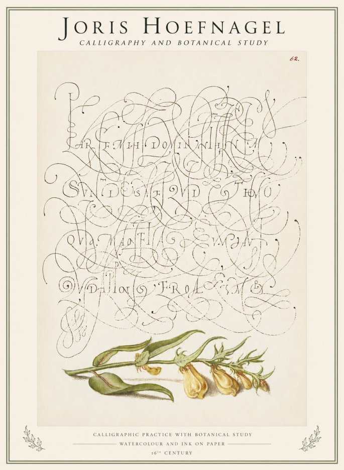 Joris Hoefnagel Calligraphic Practice with Botanical Study No1 - Plakát