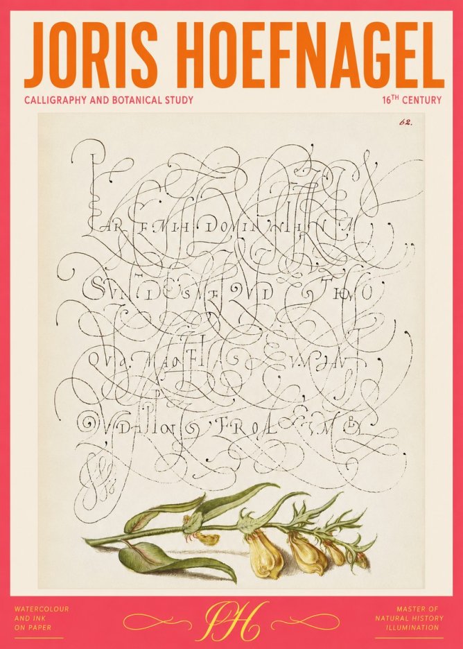 Joris Hoefnagel Calligraphic Practice with Botanical Study No2 - Plakát
