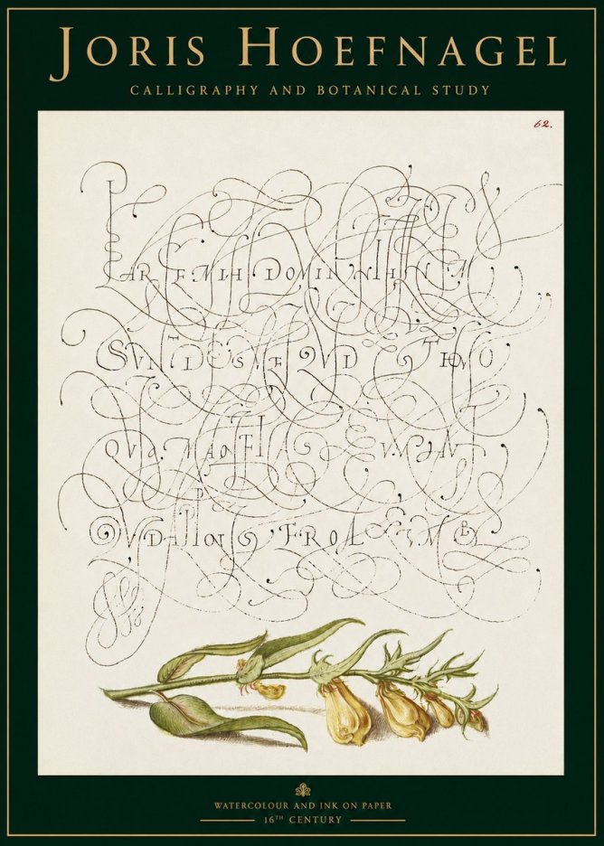 Joris Hoefnagel Calligraphic Practice with Botanical Study No3 - Plakát
