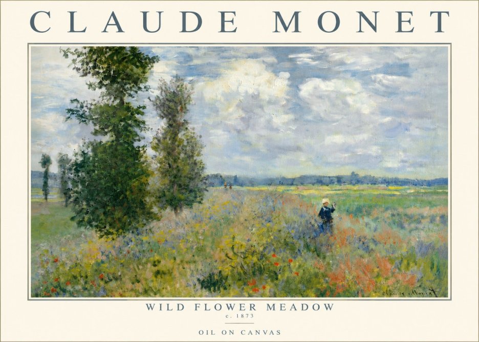 Monet Wild Flower Meadow No3 - Plakát