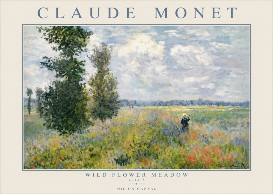 Monet Wild Flower Meadow No5 - Plakát