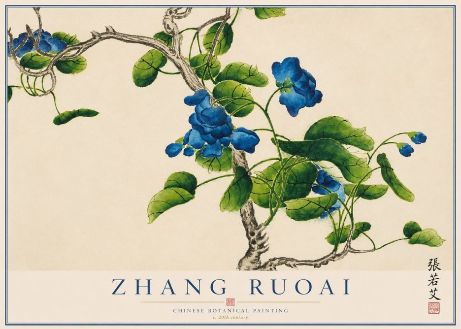 Zhang Ruoai Blue Morning Glories No1 - Plakát