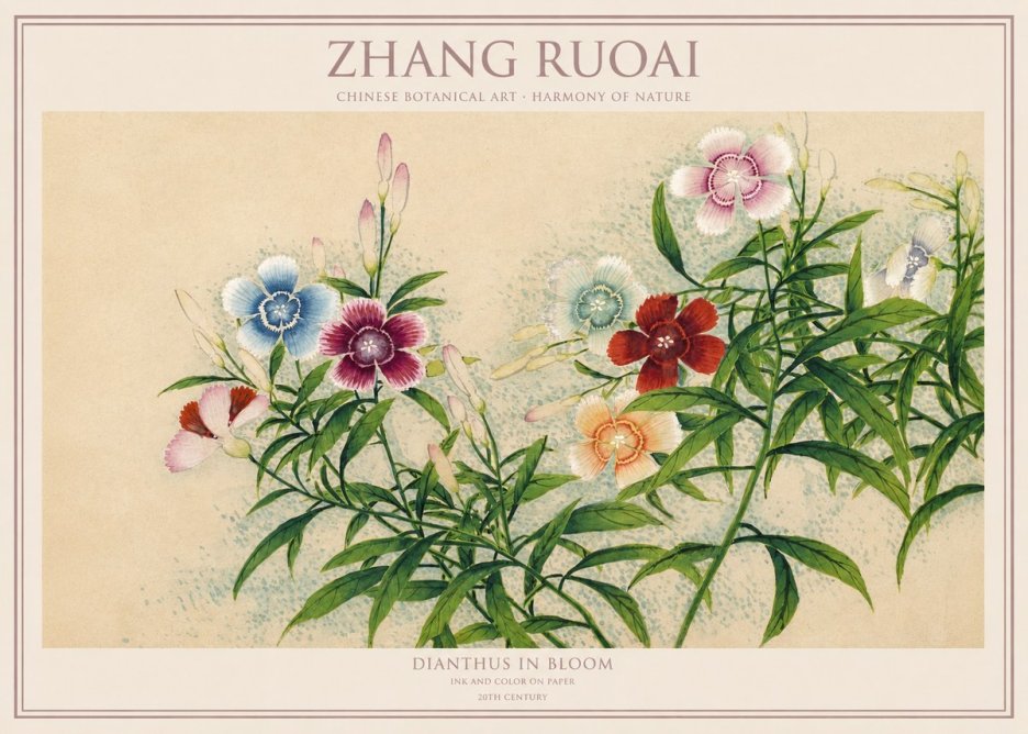 Zhang Ruoai Dianthus in Bloom No1 - Plakát