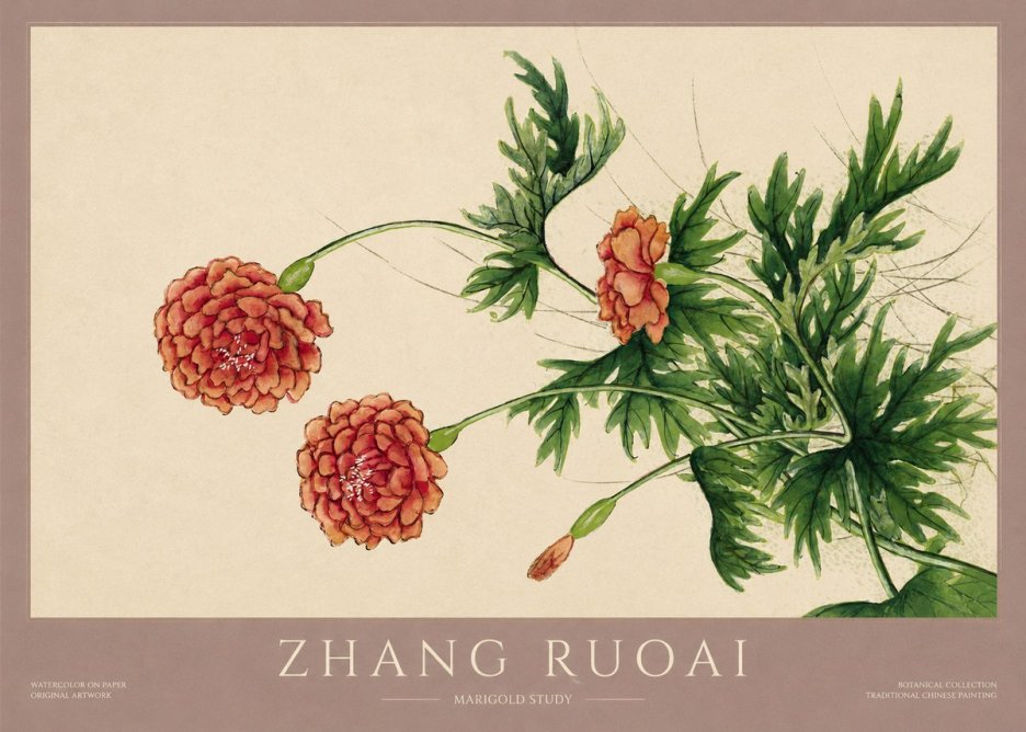 Zhang Ruoai Marigold Study No1 - Plakát