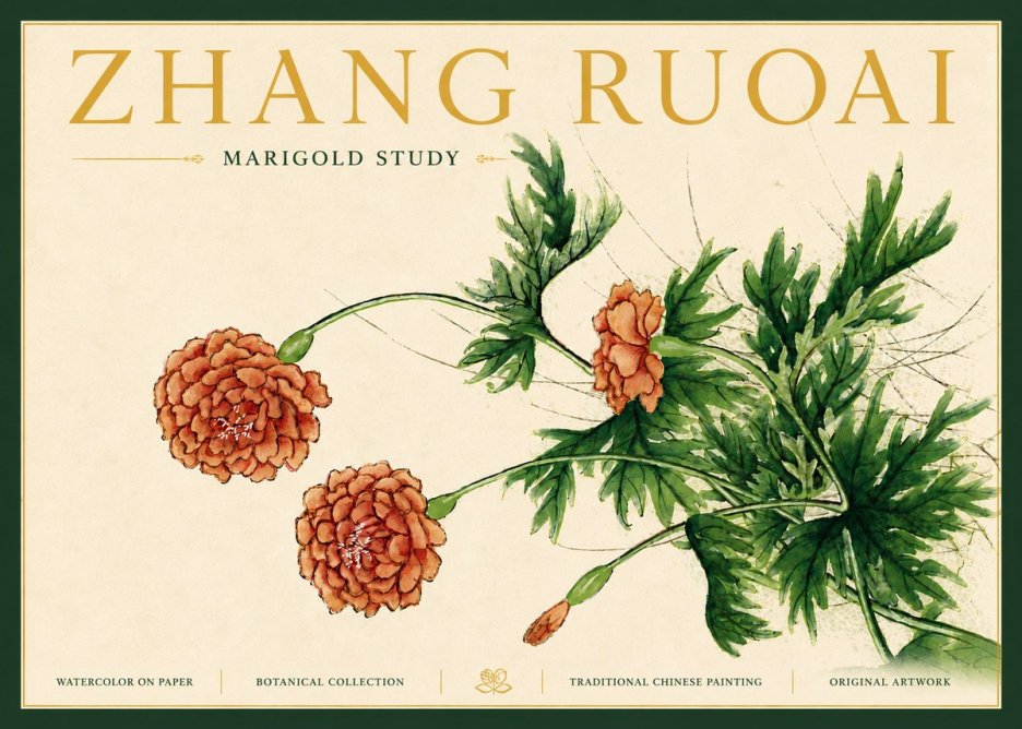 Zhang Ruoai Marigold Study No6 - Plakát