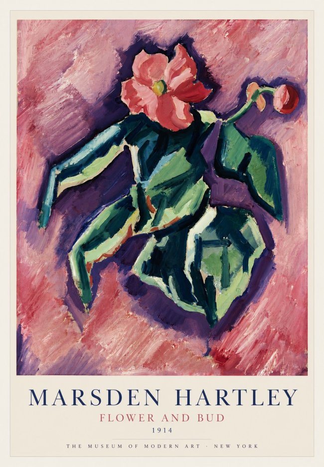 Marsden Hartley Flower and Bud No3 - Plakát