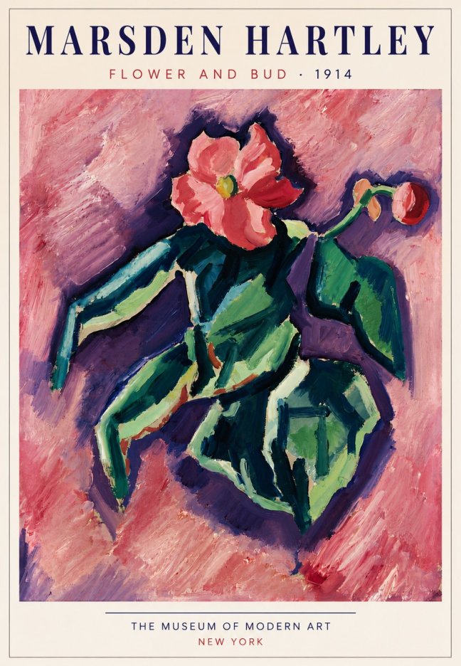 Marsden Hartley Flower and Bud No5 - Plakát