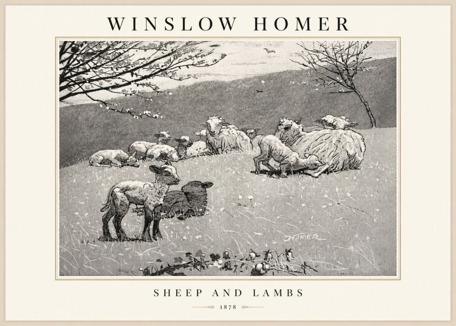 Winslow Homer Sheep and Lambs No1 - Plakát