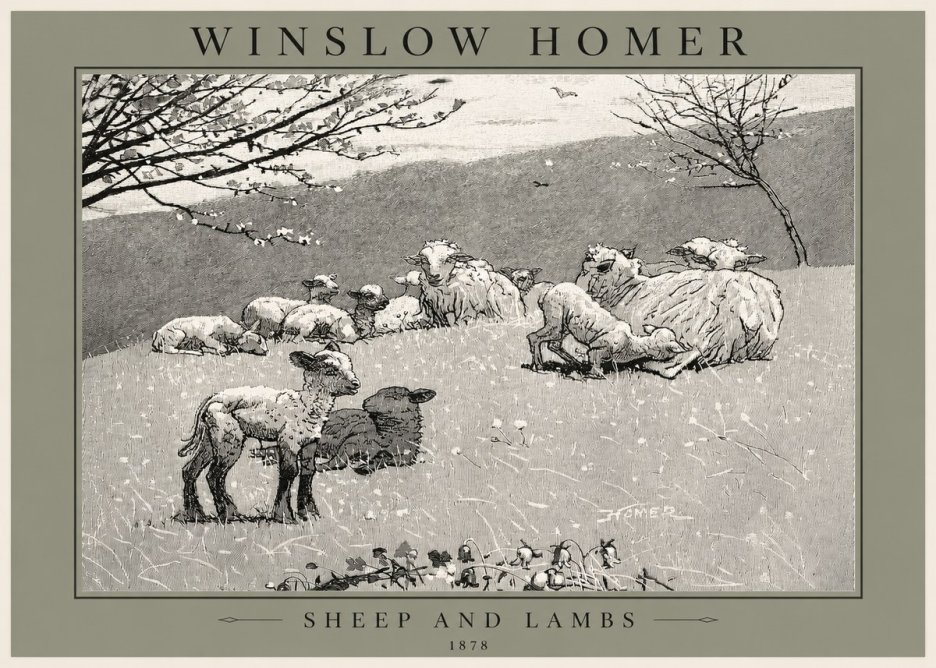Winslow Homer Sheep and Lambs No2 - Plakát
