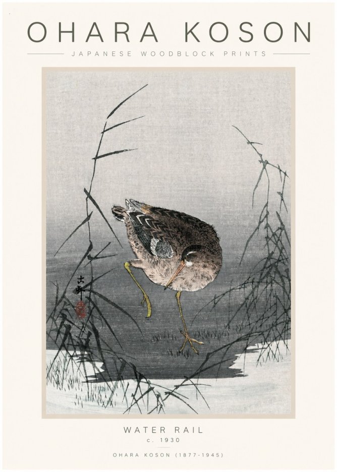 Ohara Koson Water Rail No1 - Plakát
