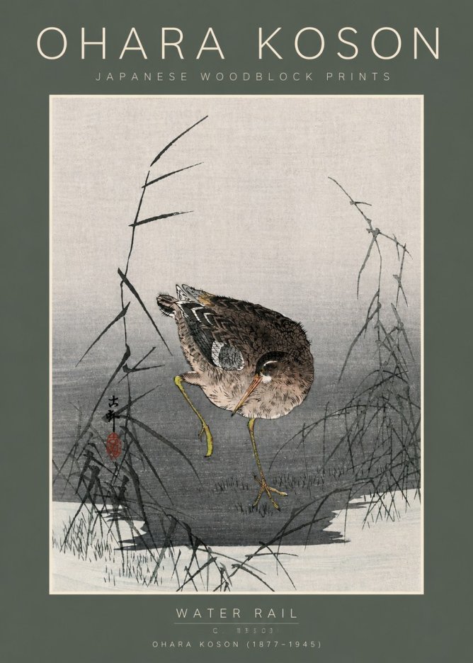 Ohara Koson Water Rail No5 - Plakát