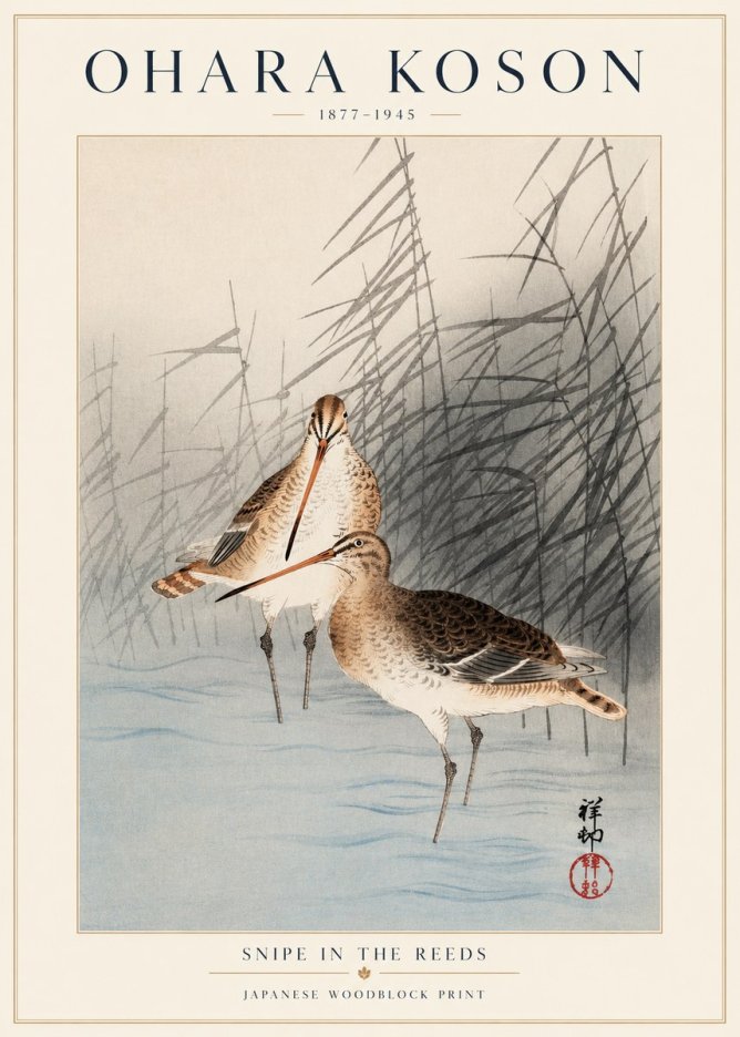 Ohara Koson Snipe in the Reeds No1 - Plakát