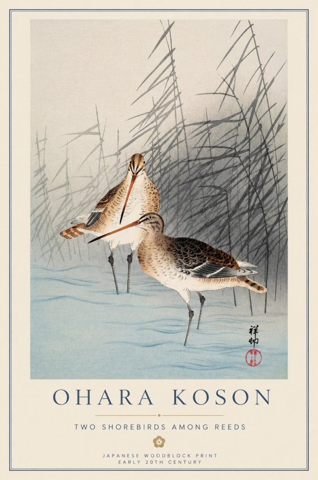 Ohara Koson Snipe in the Reeds No2 - Plakát