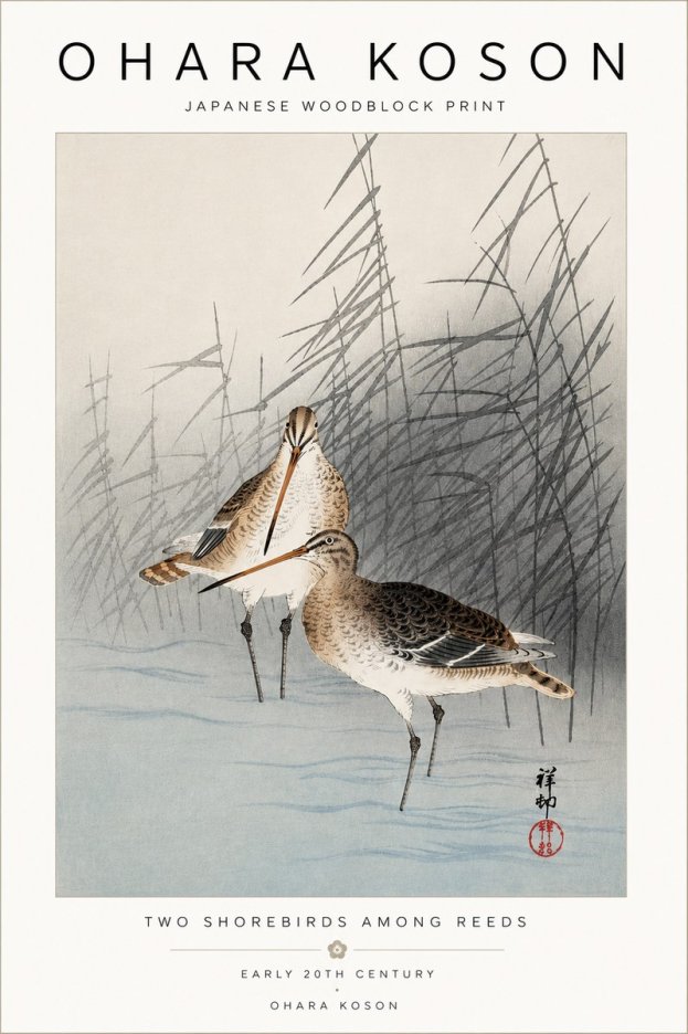 Ohara Koson Snipe in the Reeds No5 - Plakát