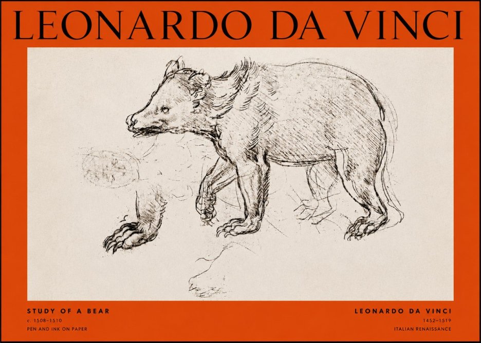 Leonardo da Vinci Study of a Bear No2 - Plakát