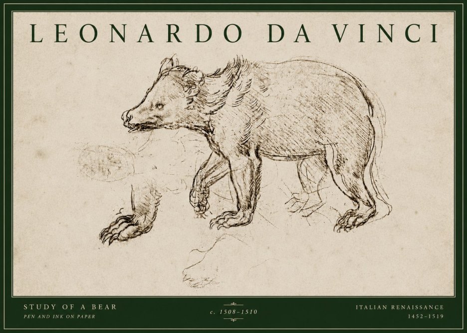 Leonardo da Vinci Study of a Bear No4 - Plakát