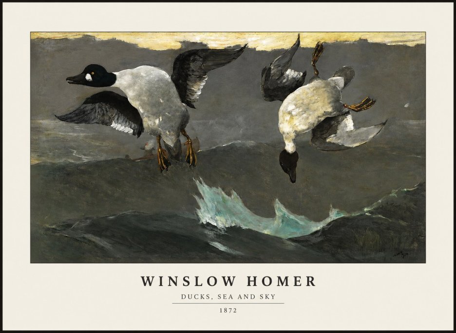 Winslow Homer Ducks, Sea and Sky No1 - Plakát