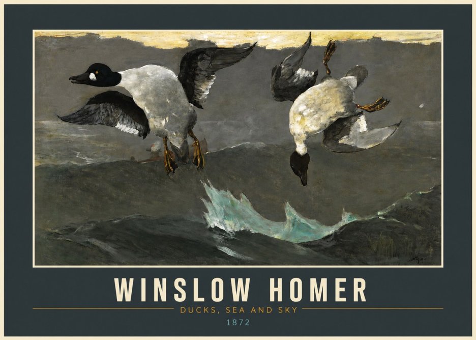 Winslow Homer Ducks, Sea and Sky No2 - Plakát
