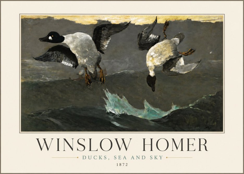 Winslow Homer Ducks, Sea and Sky No3 - Plakát