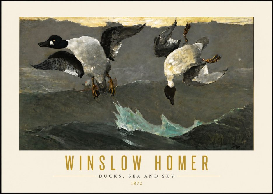 Winslow Homer Ducks, Sea and Sky No4 - Plakát