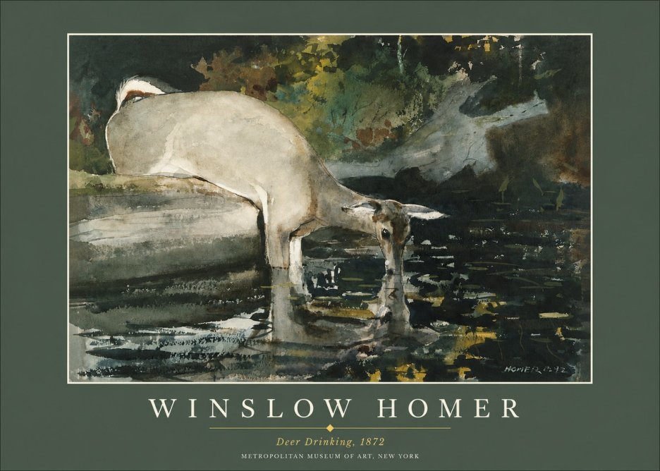 Winslow Homer Deer Drinking No2 - Plakát