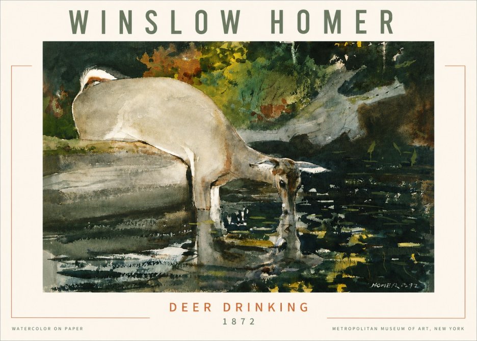 Winslow Homer Deer Drinking No4 - Plakát