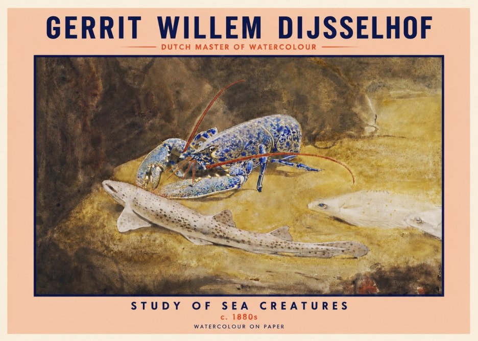 Gerrit Willem Dijsselhof Study of Sea Creatures No2 - Plakát