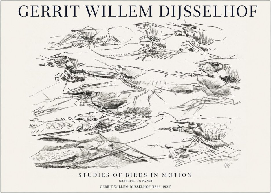 Gerrit Willem Dijsselhof Studies of Birds in Motion No1 - Plakát