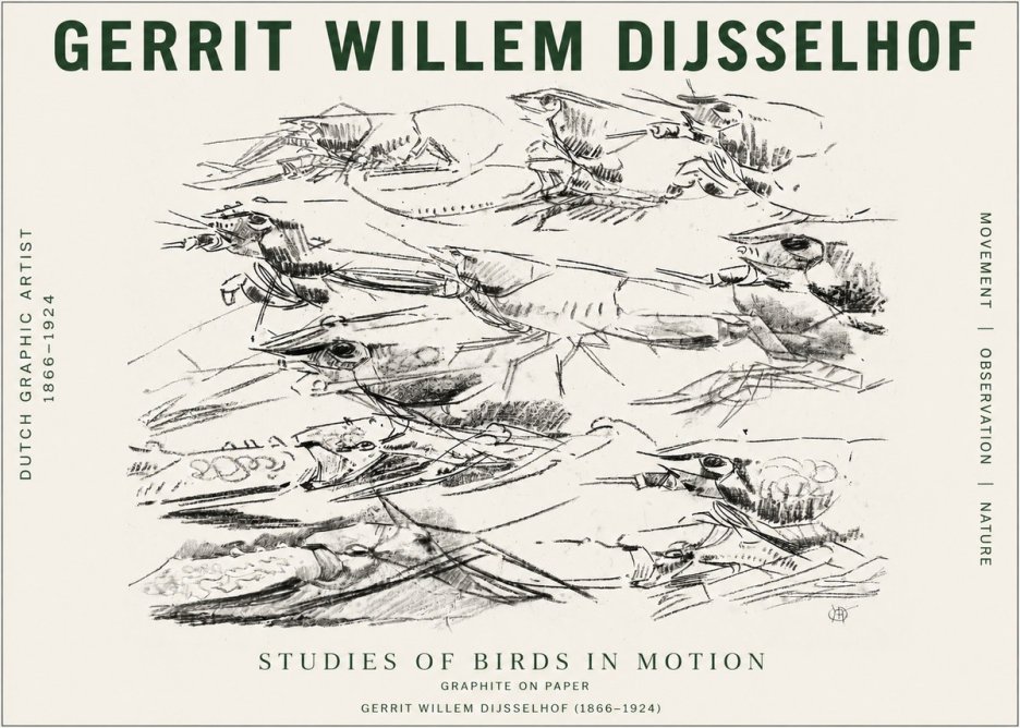 Gerrit Willem Dijsselhof Studies of Birds in Motion No4 - Plakát