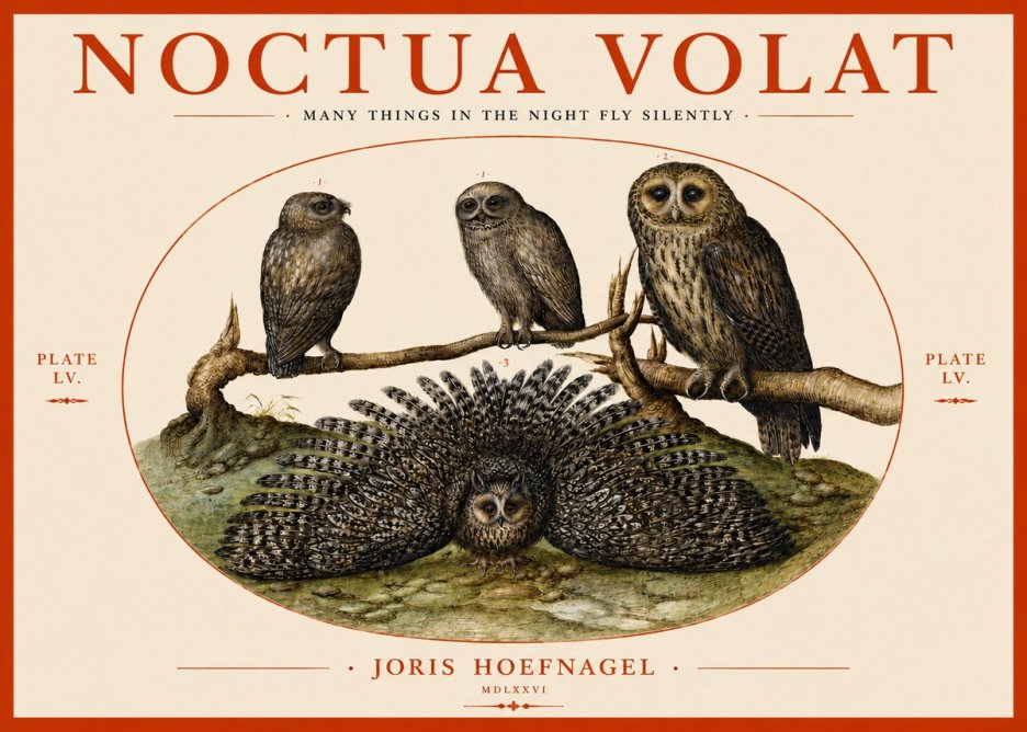Joris Hoefnagel Noctva Volat No4 - Plakát