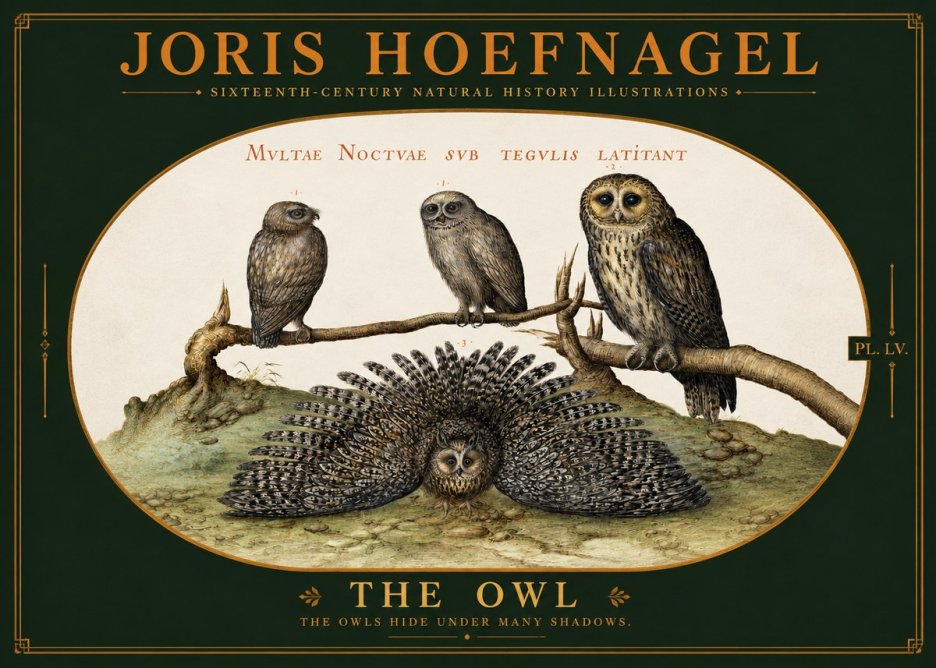Joris Hoefnagel Noctva Volat No6 - Plakát