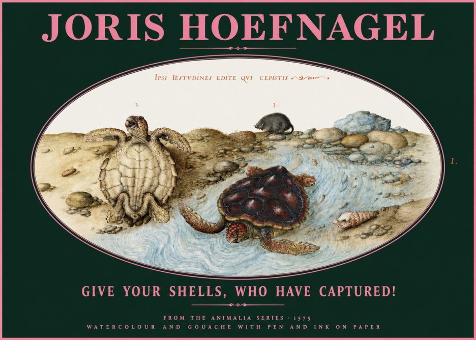 Joris Hoefnagel Two Turtles in a Stream No3 - Plakát